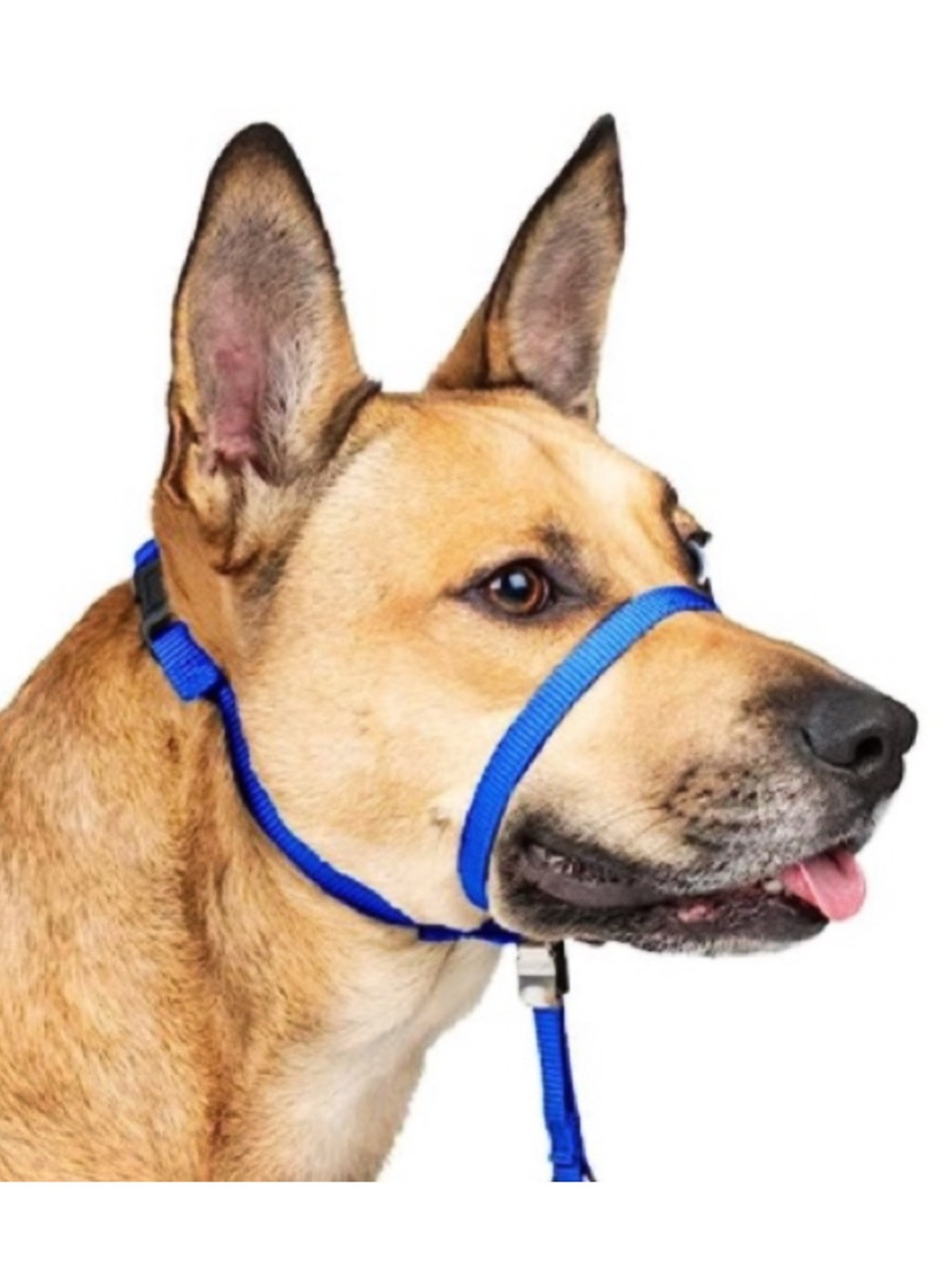 PetSafe Blue Gentle Leader with Matching Leash Sz M